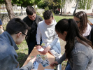 IMG_20220428_120526