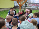 IMG20230426110416