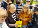 IMG20230426110758