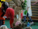 IMG20240208154313