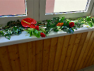 IMG20250620163144