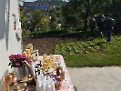 IMG_20250527_094208