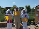 IMG_20250527_100757