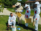 IMG_20250527_100847