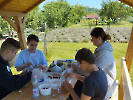 IMG_20250527_112631