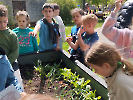 IMG_20260422_112847