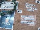IMG_20251127_075730